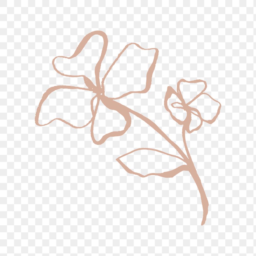 Brown flower png sticker, botanical Free PNG rawpixel