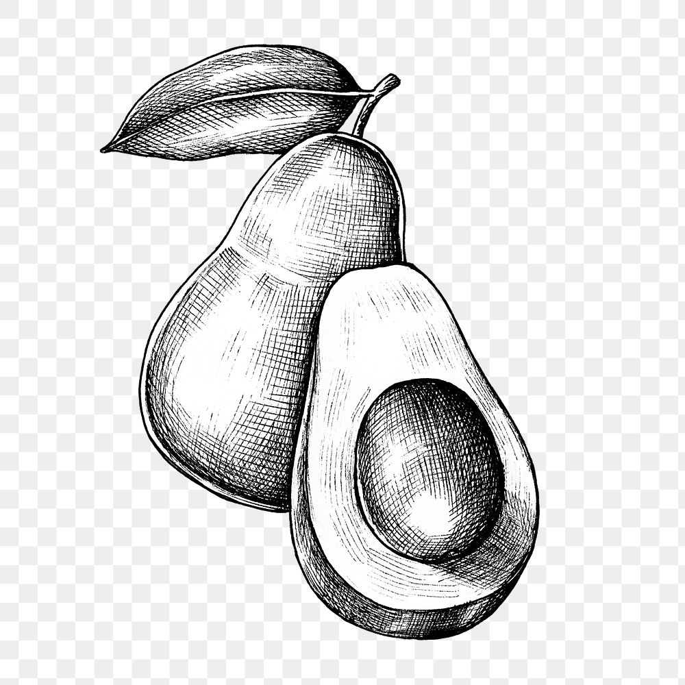 Avocado sketch png sticker on transparent background