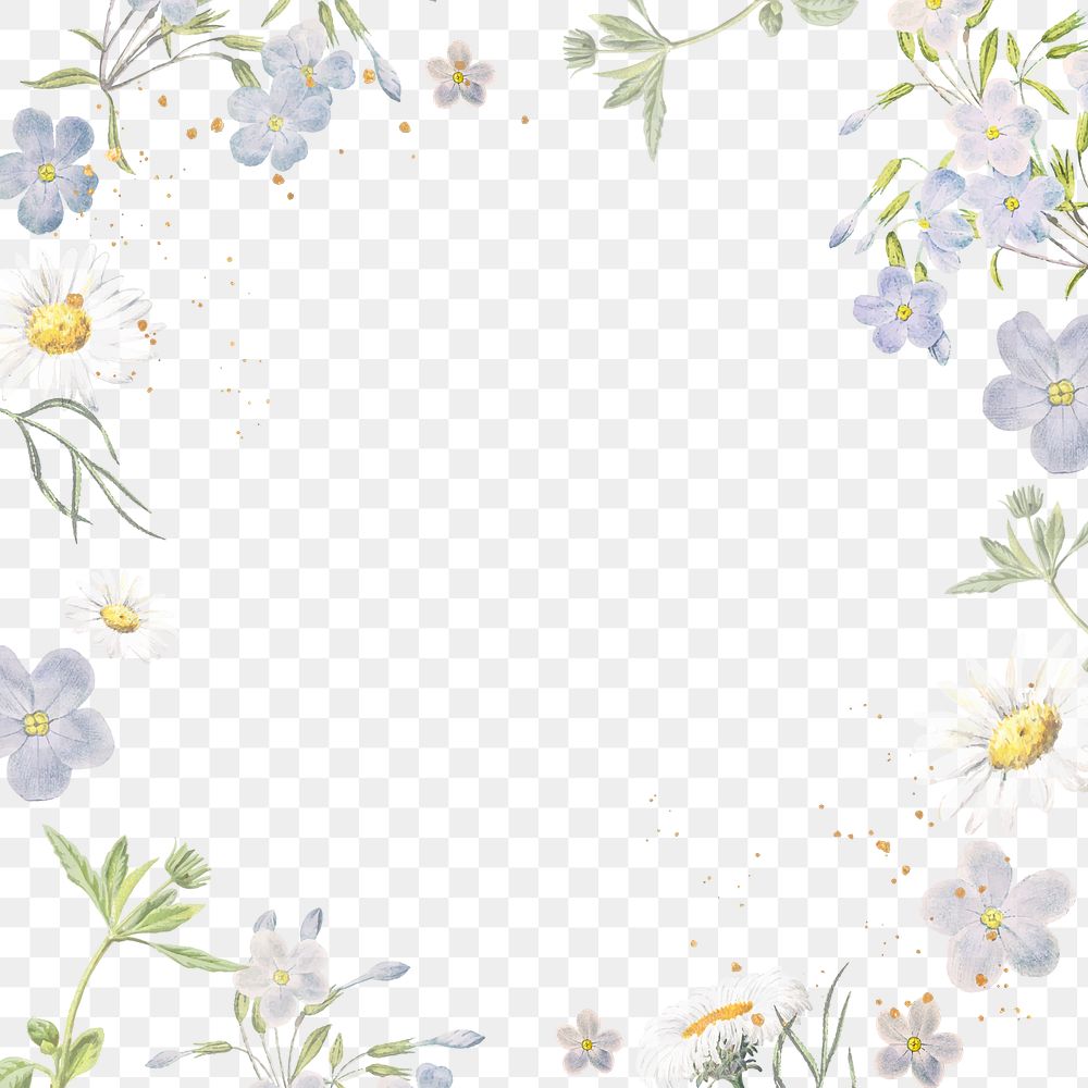 Aesthetic flower png frame, transparent background