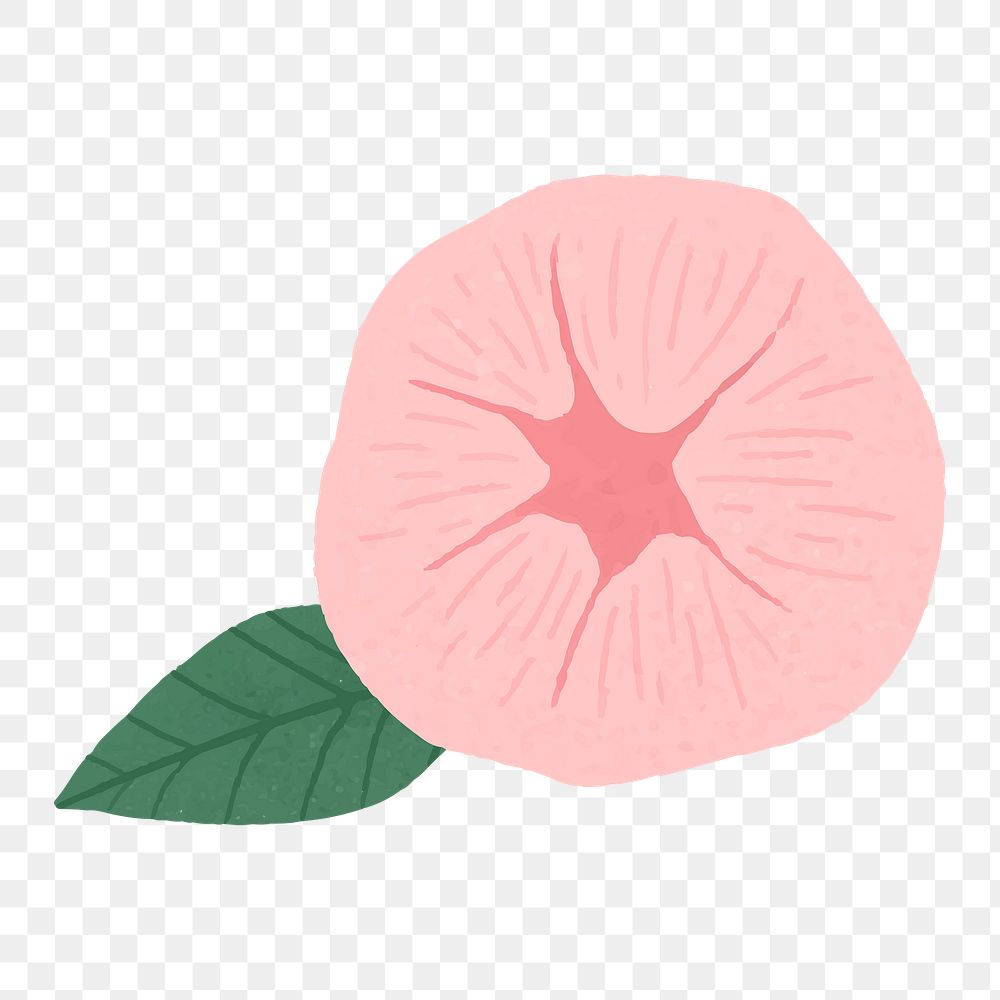 Pink flower png collage element, aesthetic illustration