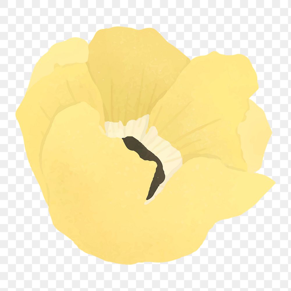 Aesthetic flower png sticker, yellow collage element on transparent background