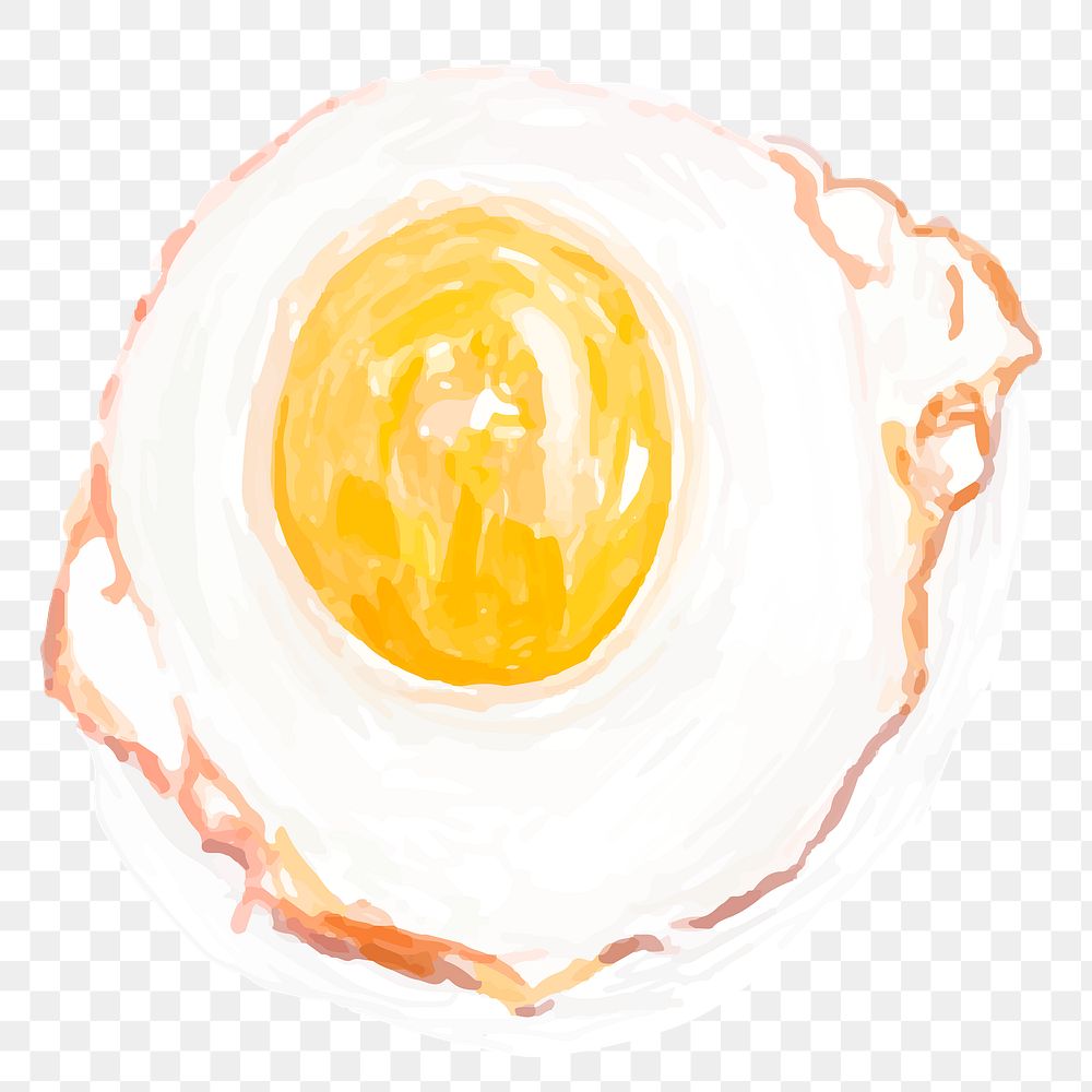 Food sunny side up png sticker watercolor