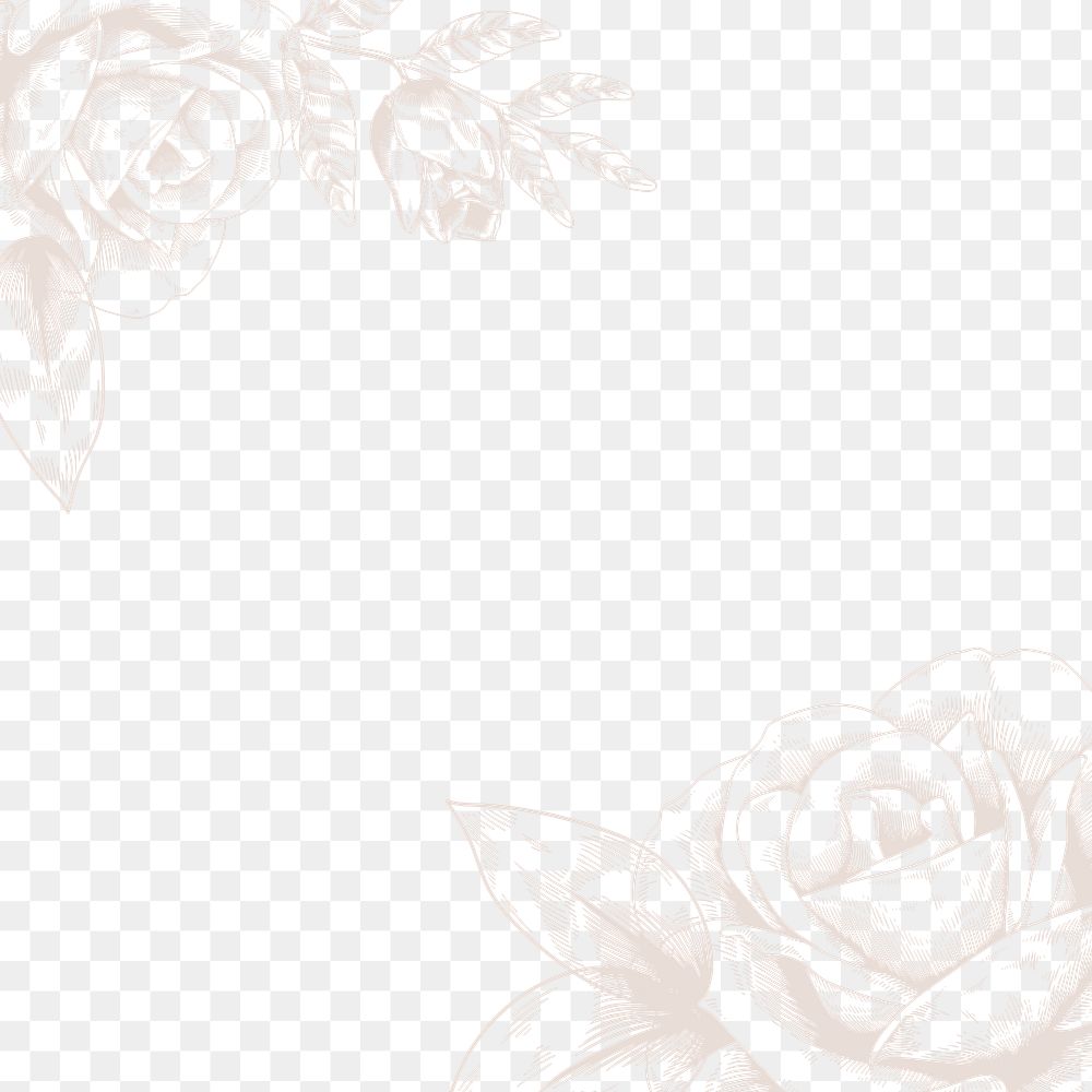 Hand drawn beige rose border | Premium PNG - rawpixel
