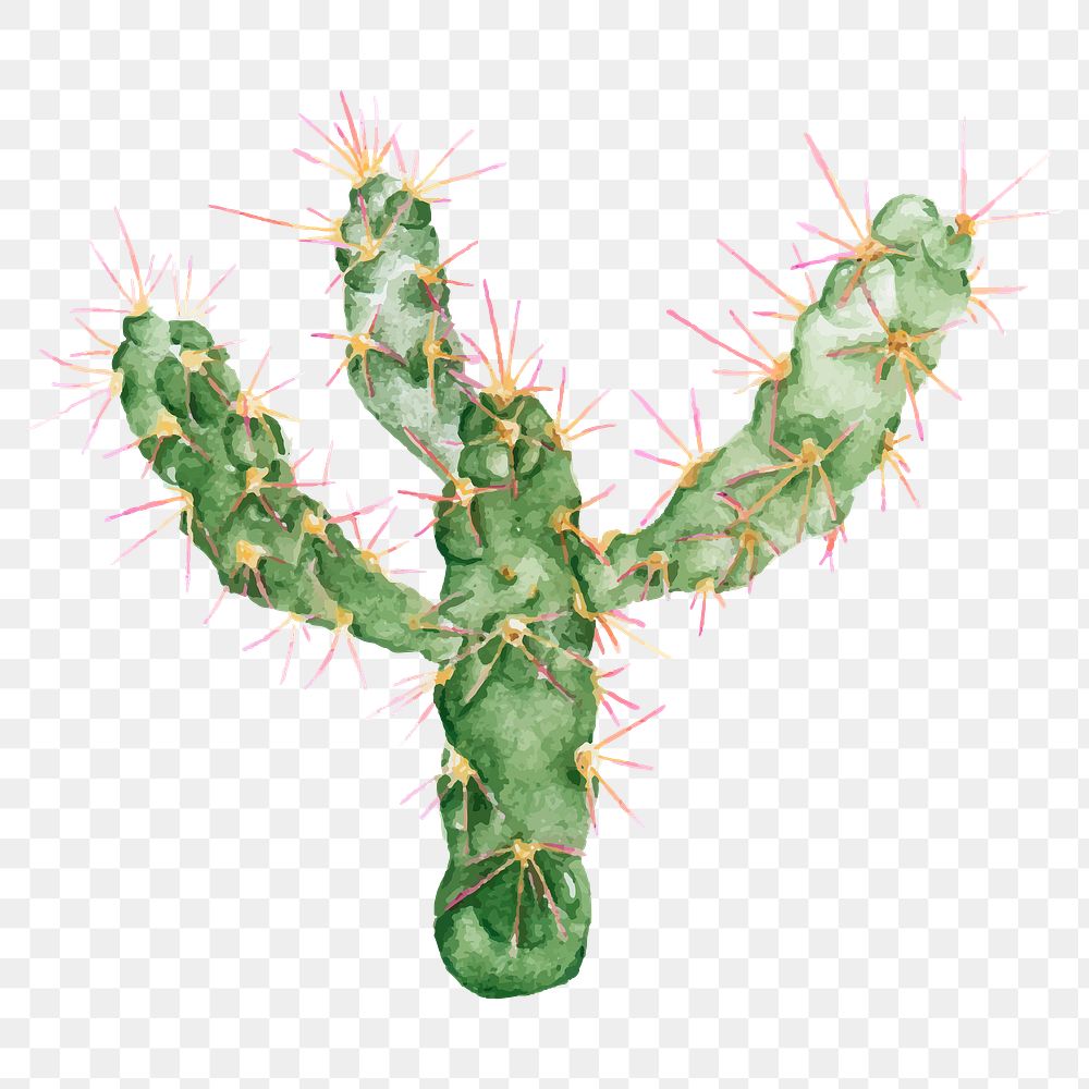 Euphorbia heptagona hand drawn png | Free PNG Sticker - rawpixel