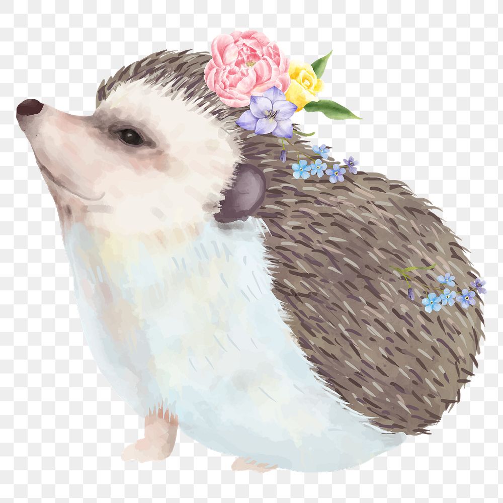 Cute hedgehog png, watercolor animal sticker