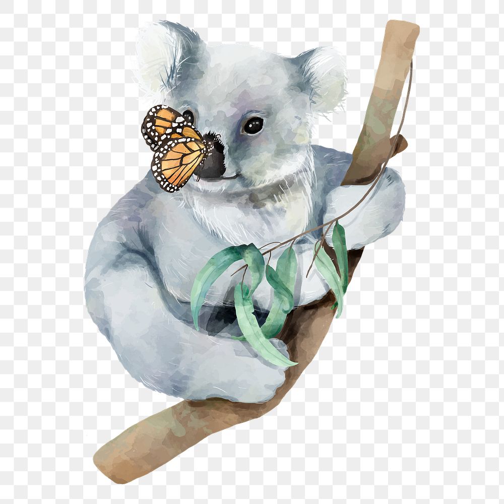 PNG baby koala bear, watercolor animal sticker