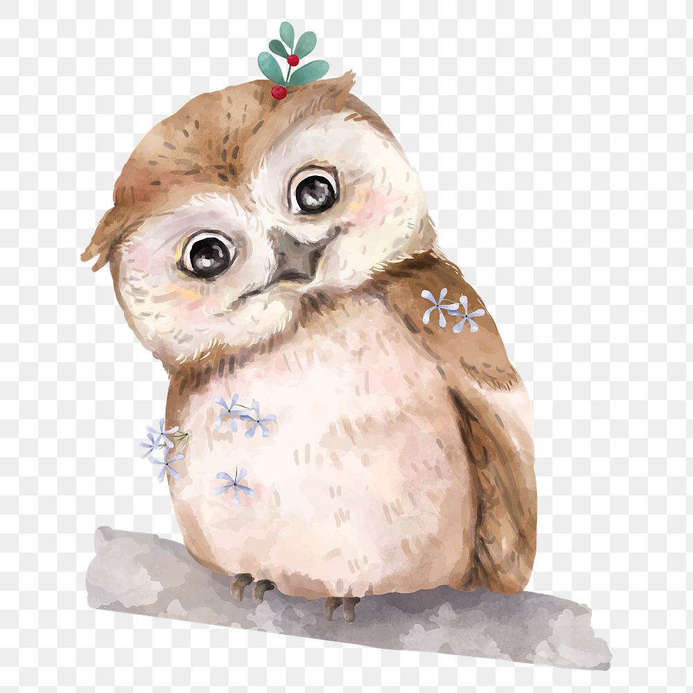 Baby owl png, watercolor animal sticker