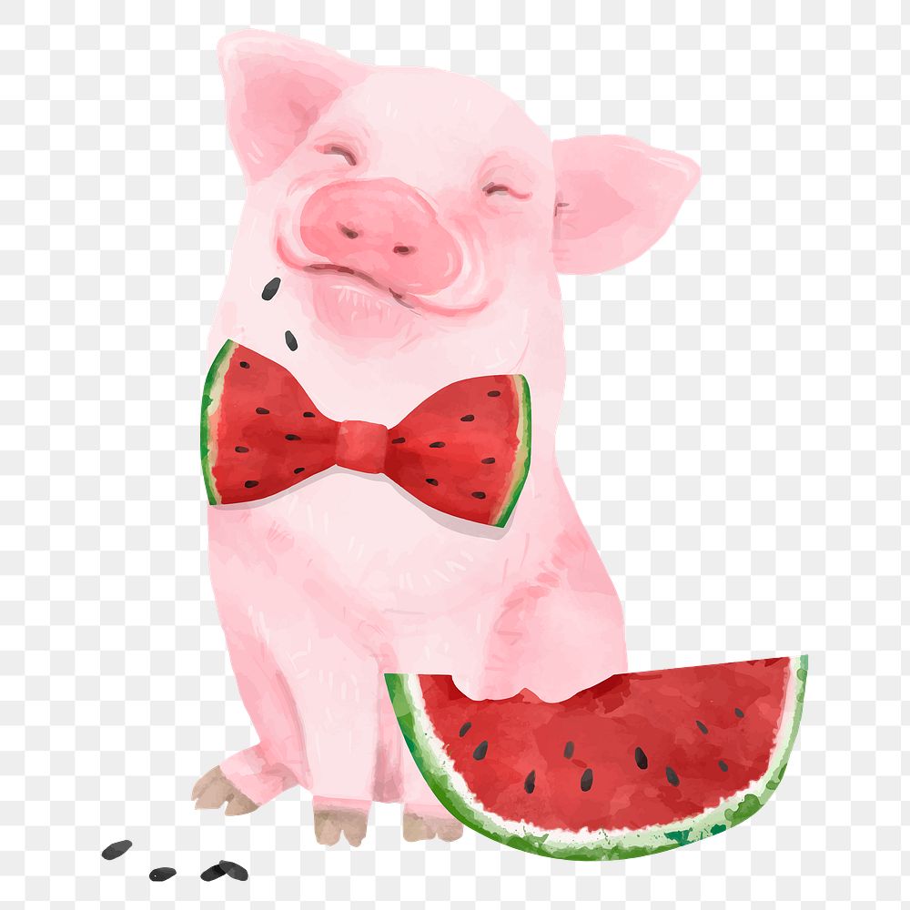 Baby pig png, watercolor animal sticker, eating watermelon
