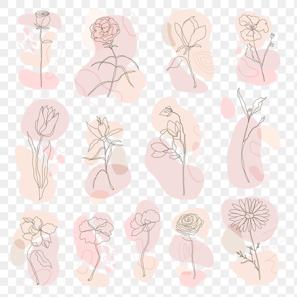 Png flower hand drawn set feminine single line art