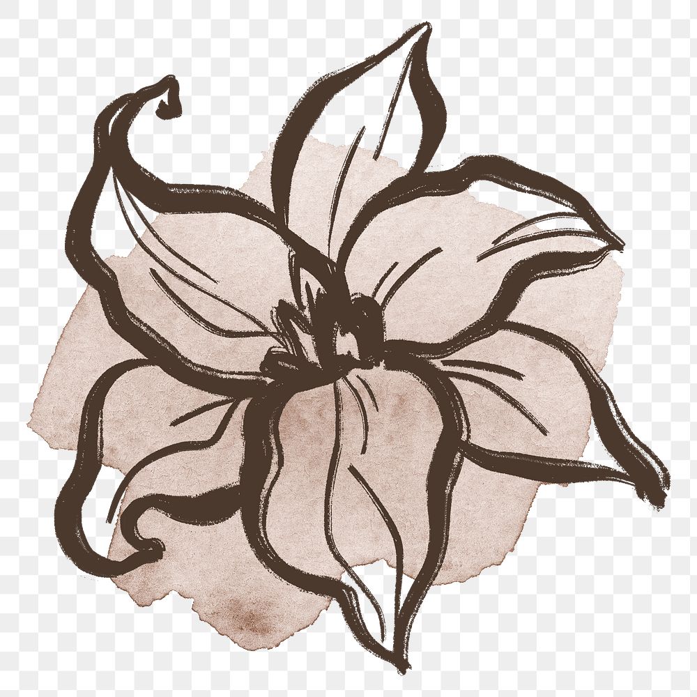 Lily png line art, pastel watercolor brushstroke design on transparent background