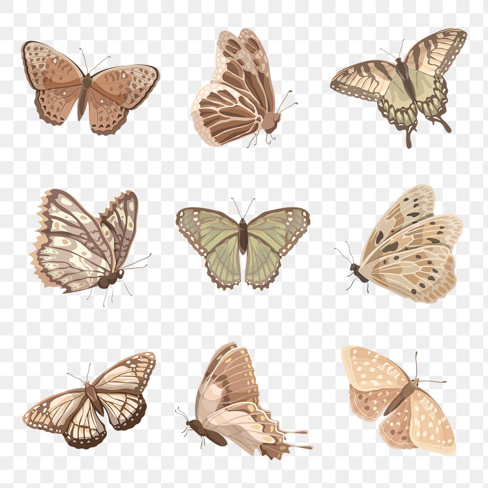 Earth tone butterfly png stickers, Premium PNG rawpixel