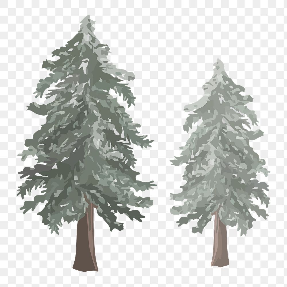 Pine trees png sticker, transparent background