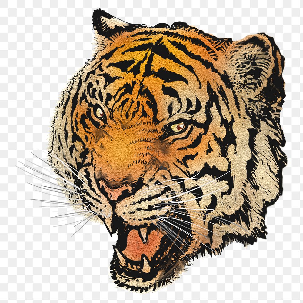 Roaring tiger png sticker, animal realistic illustration on transparent background