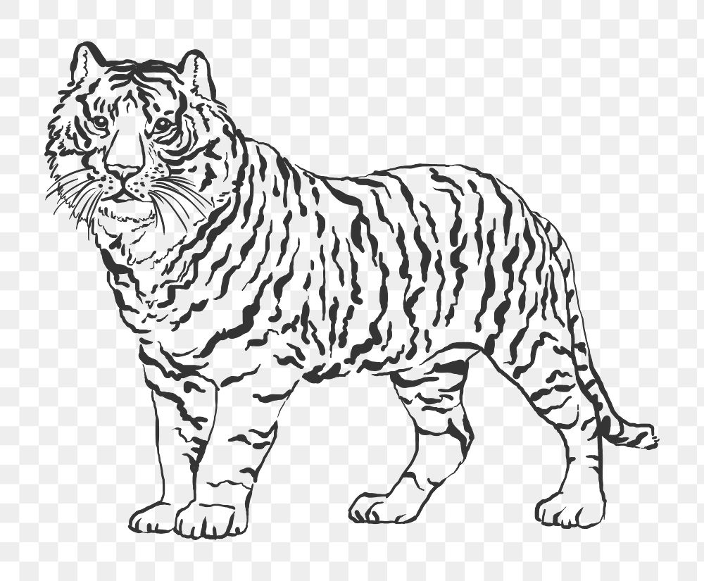 Chinese horoscope png tiger traditional sticker, black design