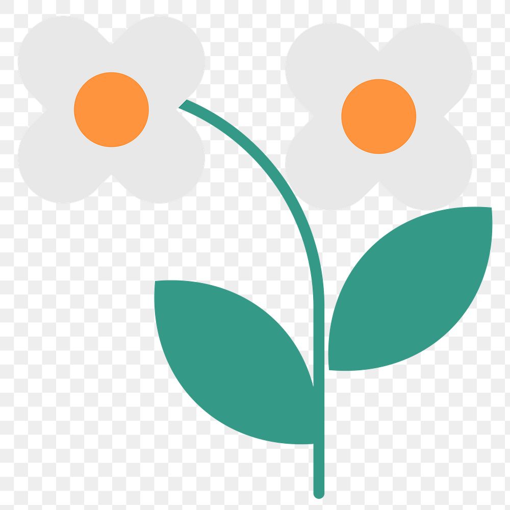 Daisy flower png sticker, summer design, transparent background