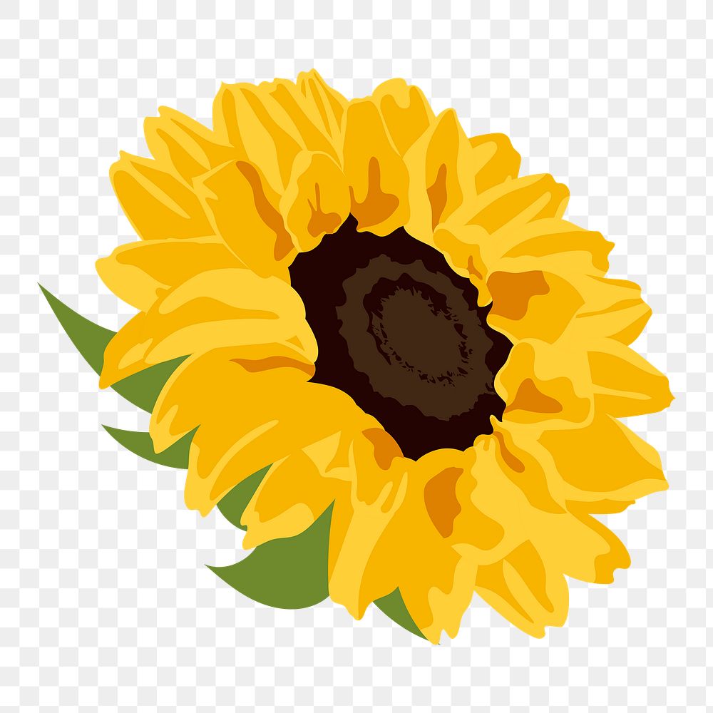 Yellow flower png sticker, sunflower spring illustration on transparent background