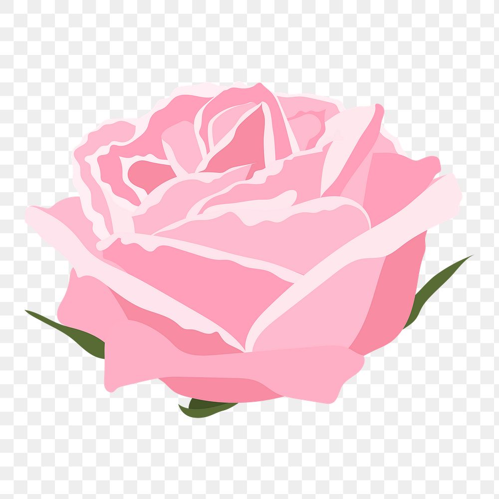 Pink rose png sticker, feminine flower illustration on transparent background