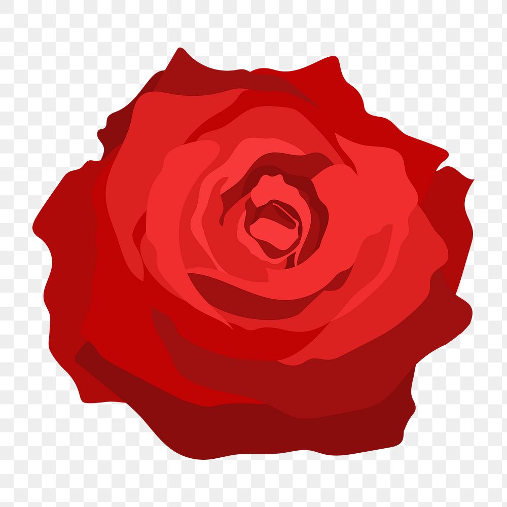 Red rose png sticker, Valentine's flower illustration on transparent background