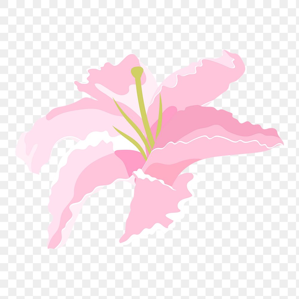 Blooming lily png sticker, pink flower collage element on transparent background