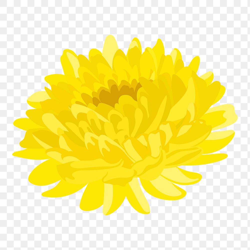 Yellow chrysanthemum png sticker, colorful flower collage element