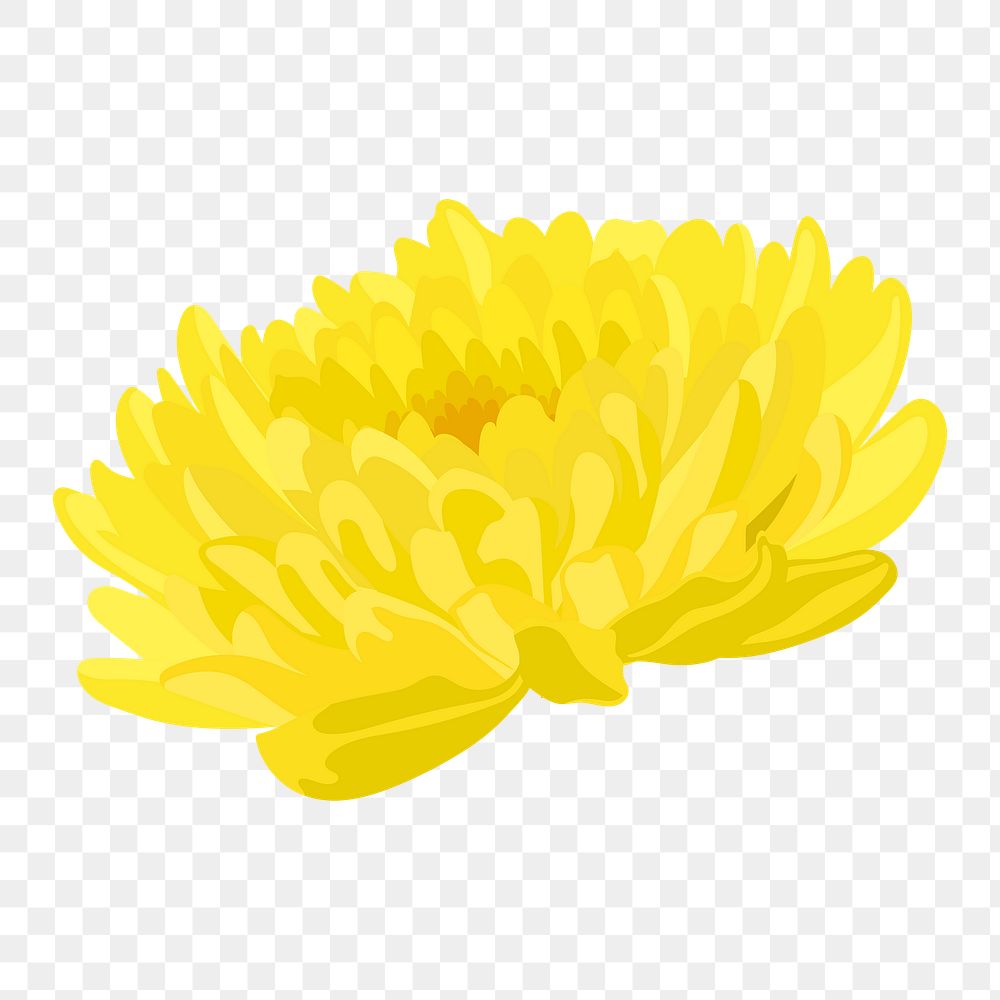 Yellow chrysanthemum png sticker, colorful flower collage element