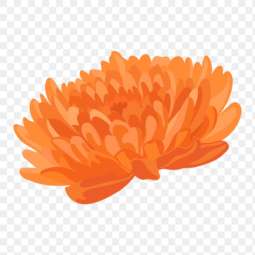 Orange chrysanthemum png flower sticker, Autumn aesthetic on transparent background