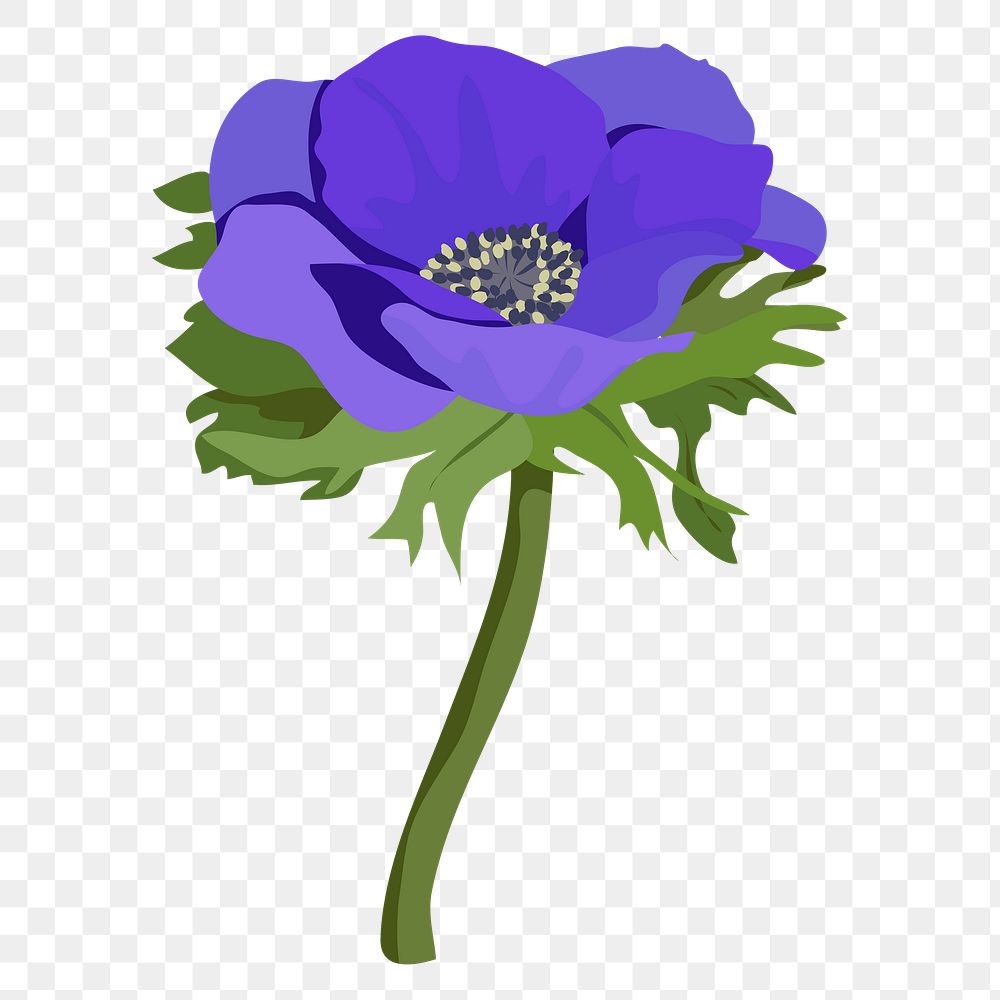 Purple anemone png sticker, aesthetic flower illustration on transparent background