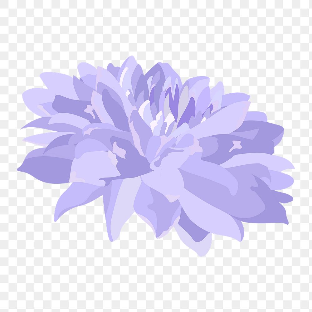 Purple flower png sticker, chrysanthemum botanical aesthetic