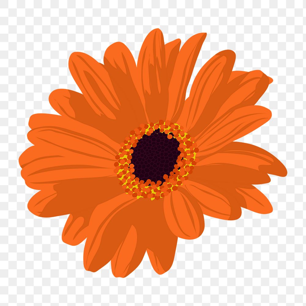 Orange daisy png sticker, aesthetic flower illustration on transparent background
