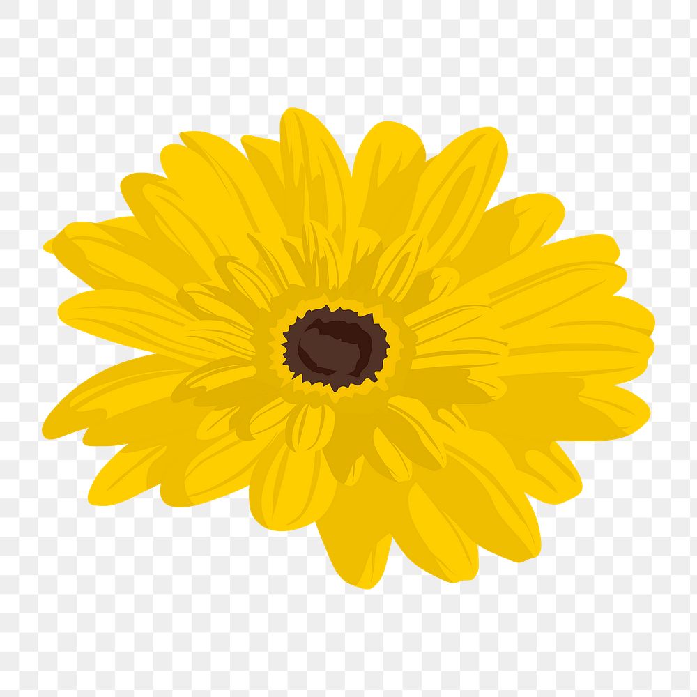 Yellow gerbera png sticker, feminine flower illustration on transparent background