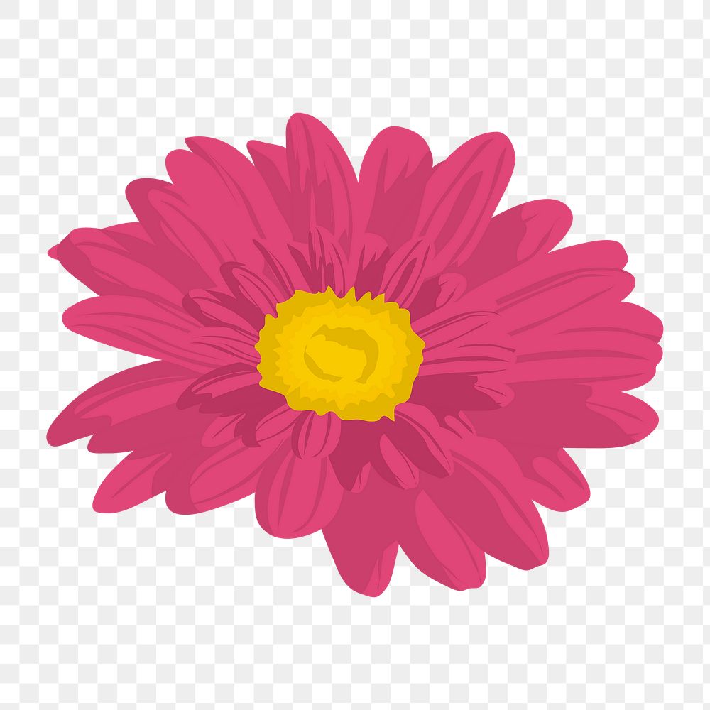 Pink gerbera png sticker, feminine flower illustration on transparent background