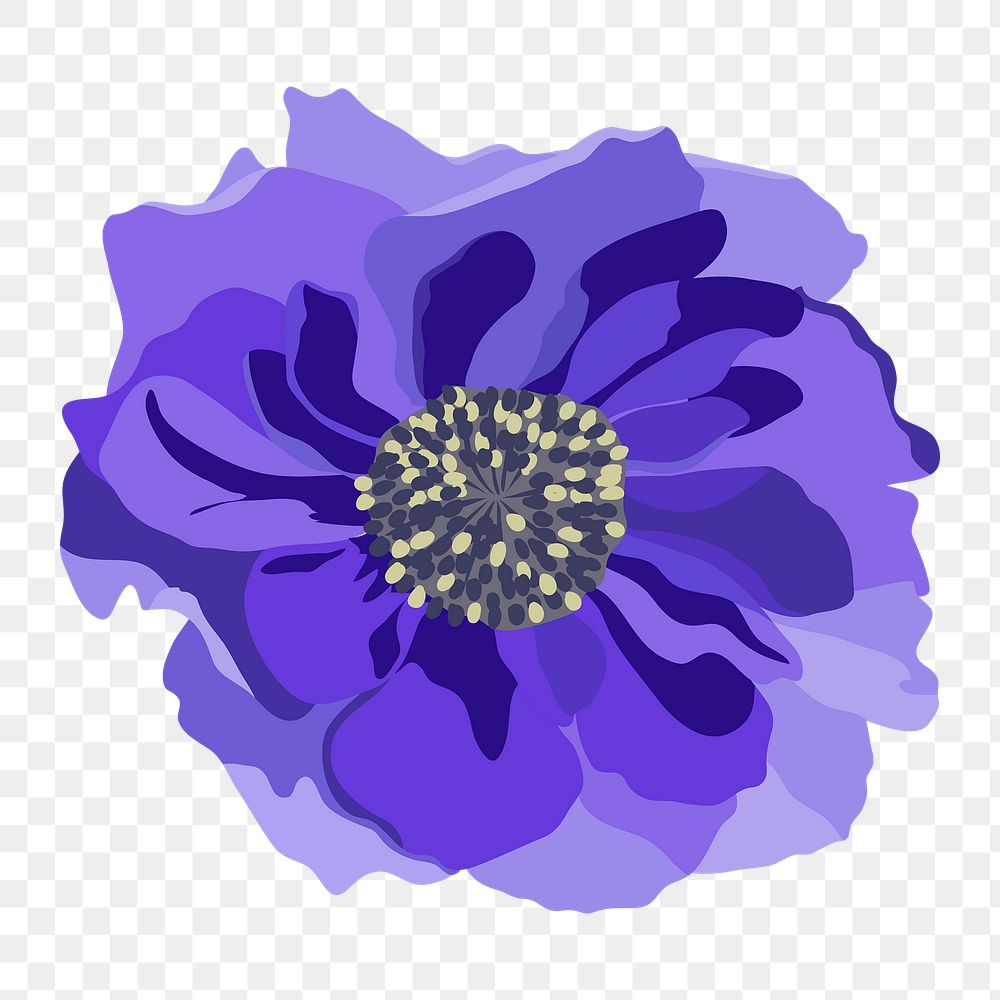 Purple anemone png sticker, aesthetic flower illustration on transparent background