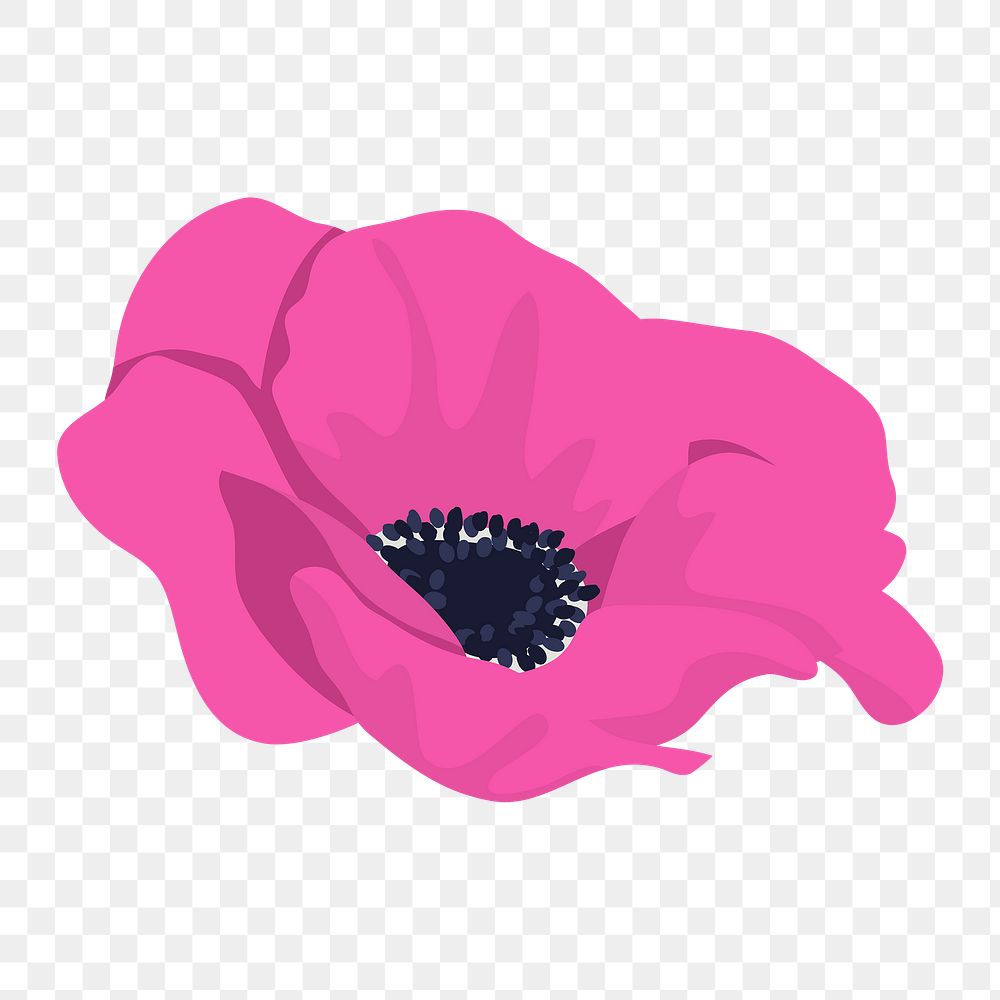 Pink anemone png flower sticker, feminine illustration on transparent background