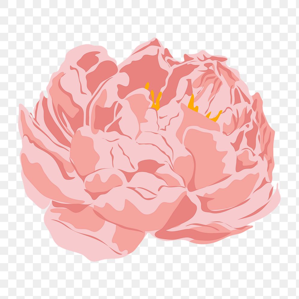 Feminine flower png sticker, pastel pink peony on transparent background
