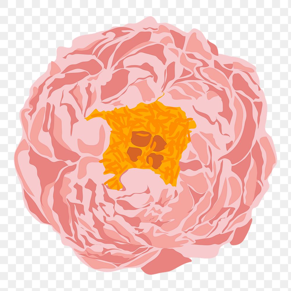 Feminine peony png sticker, pastel pink flower on transparent background