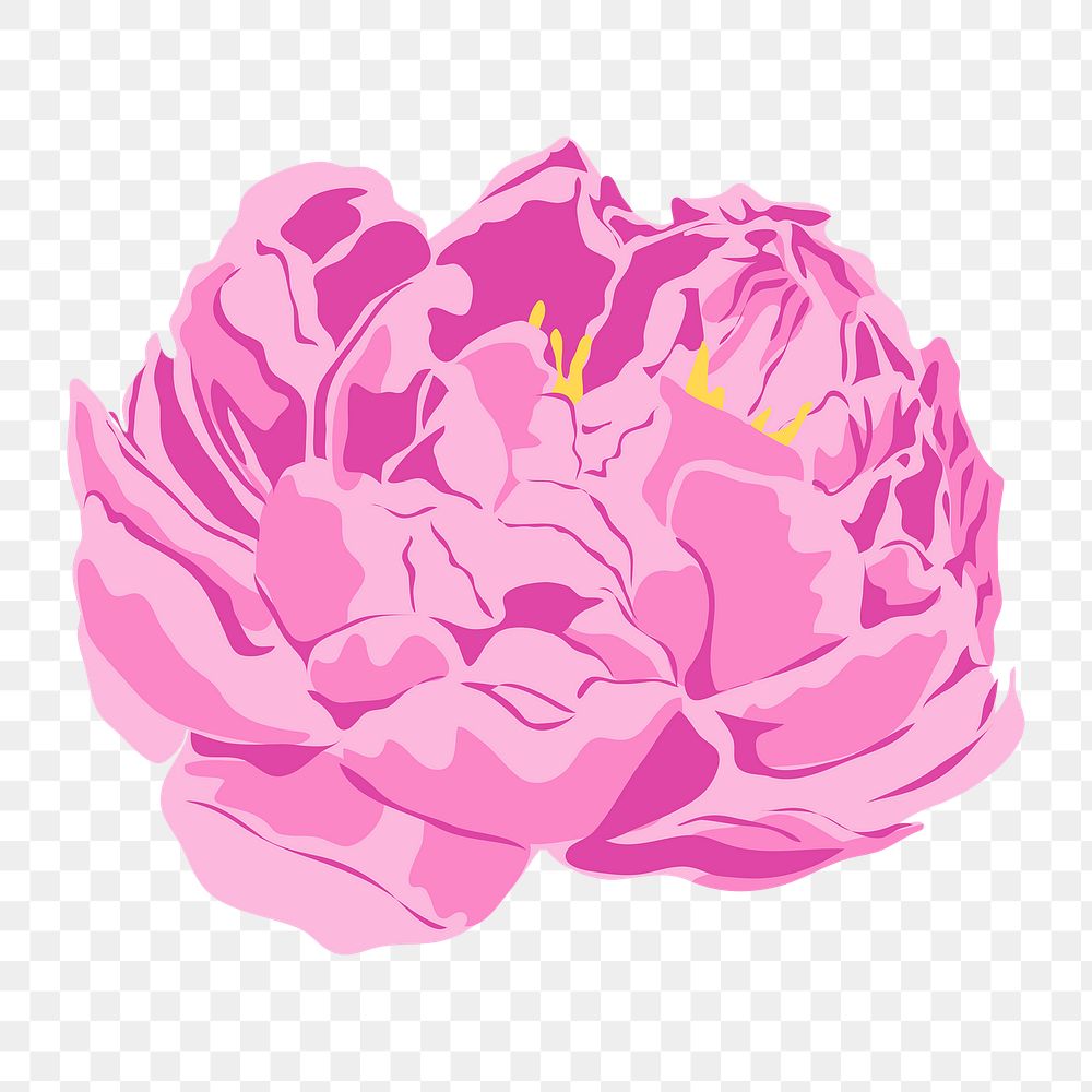 Peony flower png sticker, pink aesthetic design on transparent background