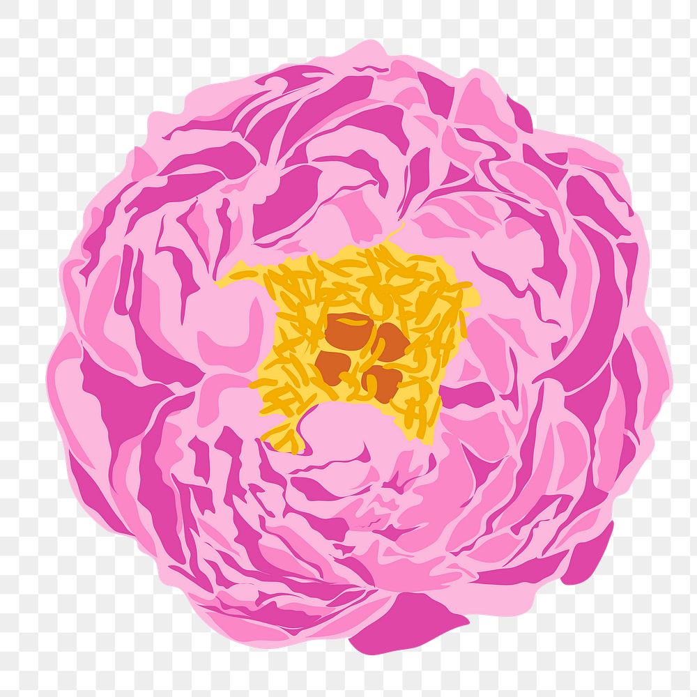 Realistic peony png sticker, pink flower illustration on transparent background