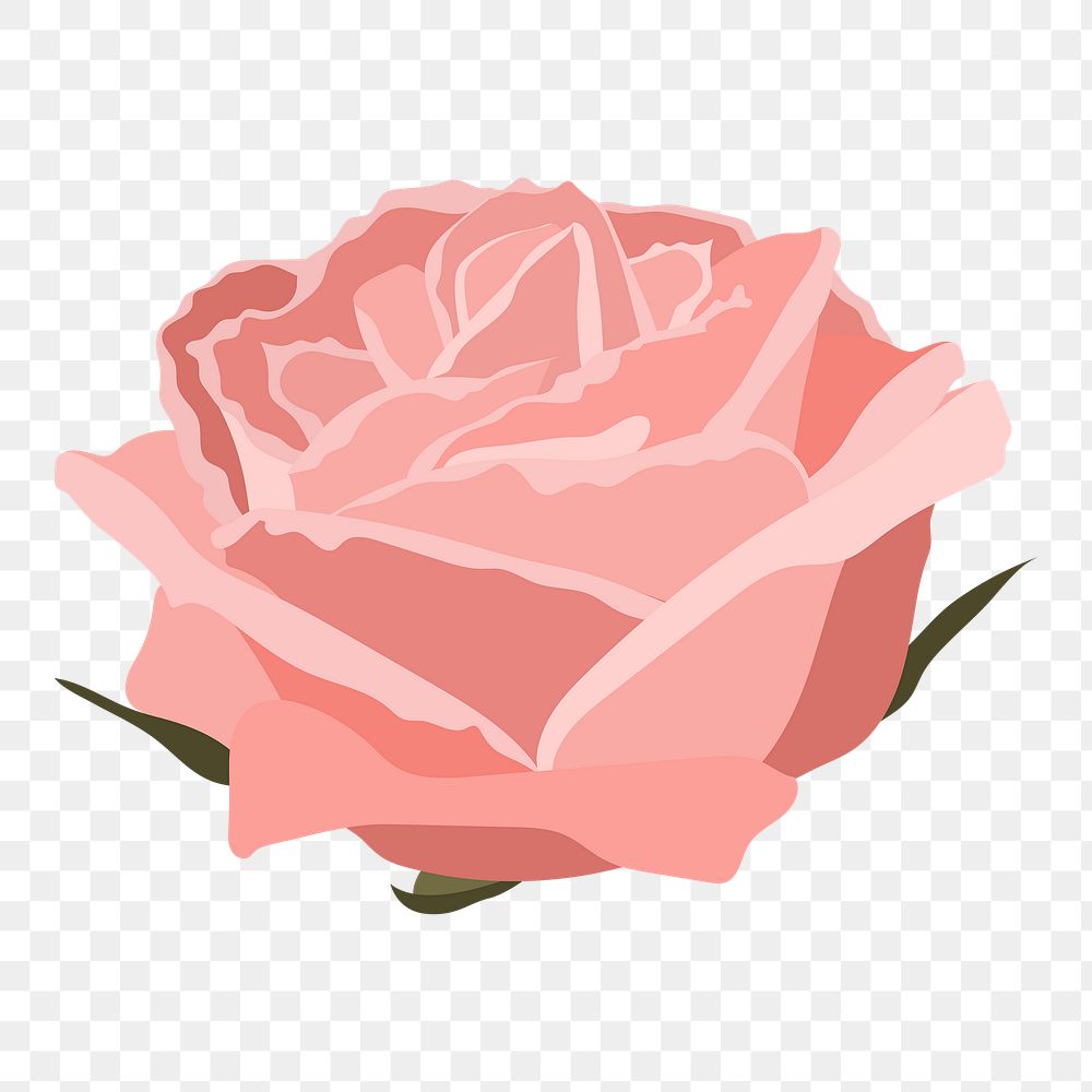 Pink pastel rose png sticker, flower illustration on transparent background