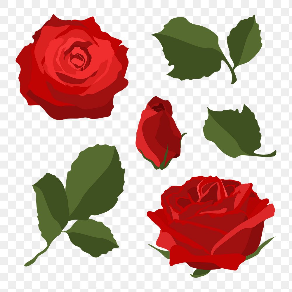 Red rose png sticker, Valentine's flower illustration set