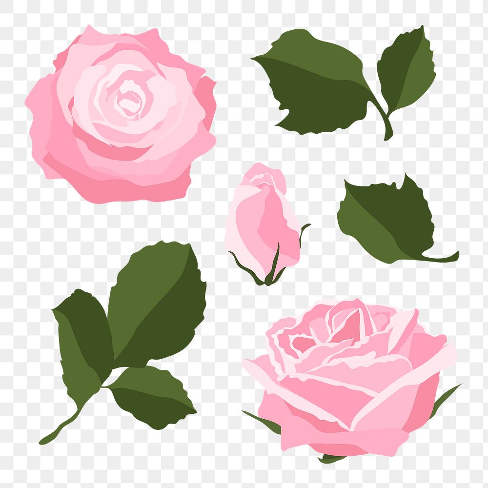 Pink rose png sticker, feminine flower illustration set