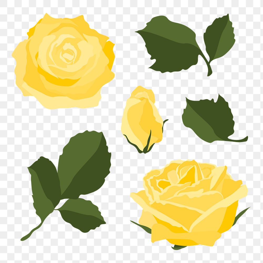 Yellow rose png sticker, spring flower illustration set