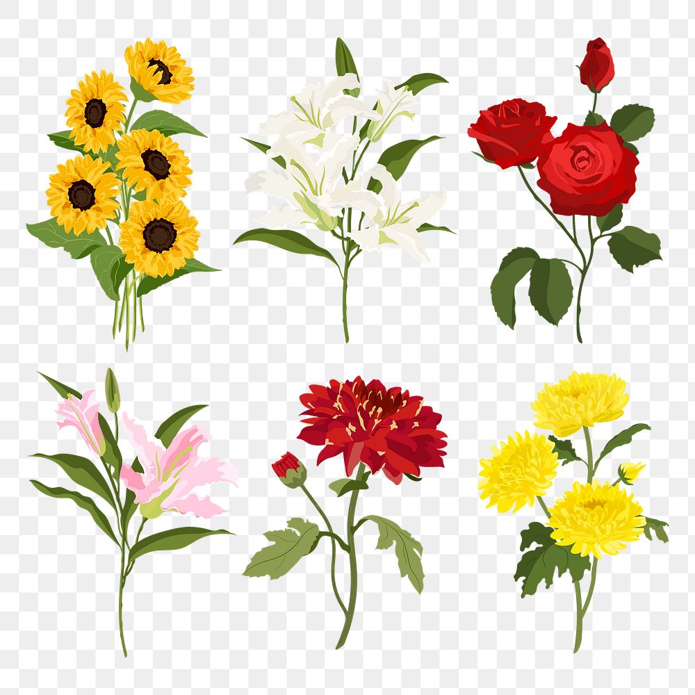 Spring flower png sticker, colorful aesthetic design set