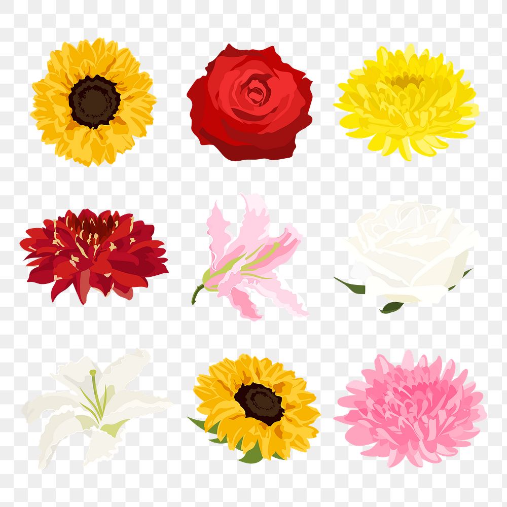 Blooming flower png sticker, spring aesthetic illustration set on transparent background