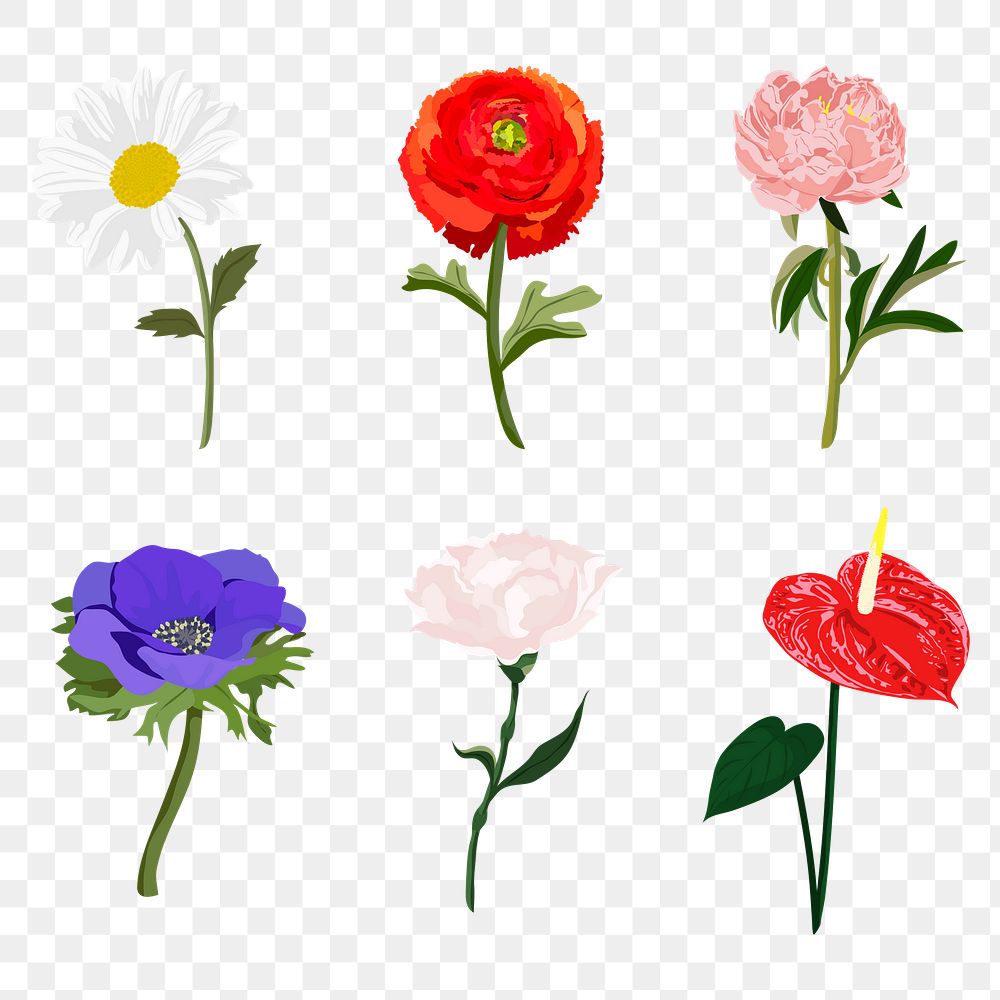 Colorful flower png sticker, spring aesthetic illustration set