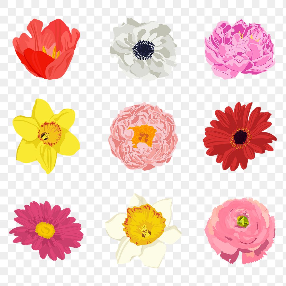 Blooming flower png sticker, spring aesthetic illustration set on transparent background