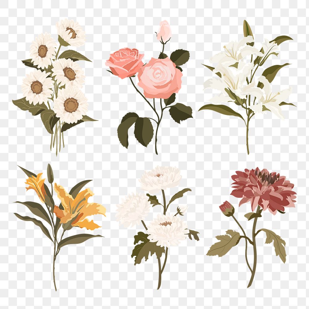 Feminine flower png stickers, botanical illustration in earth tone set