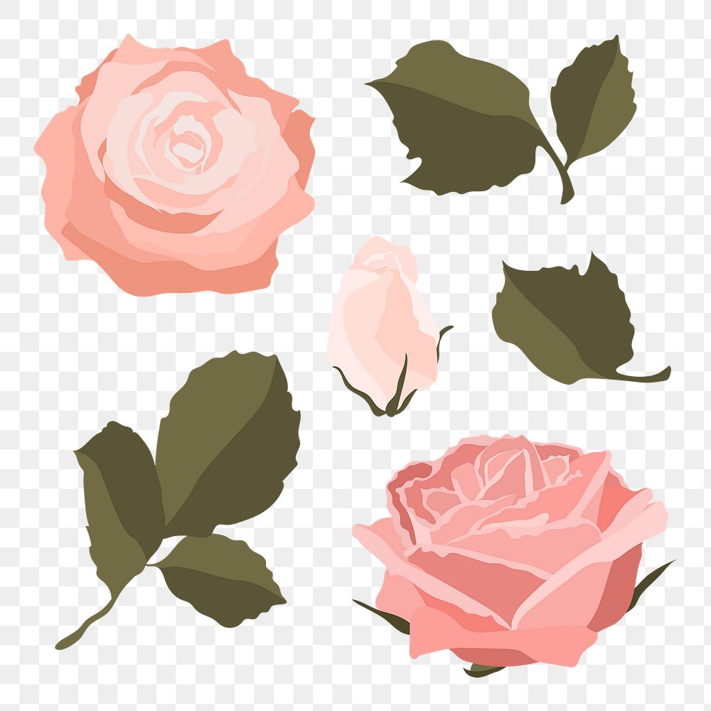 Pink pastel rose png sticker, flower illustration set