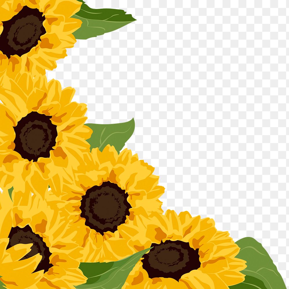 Sunflower png border, transparent background