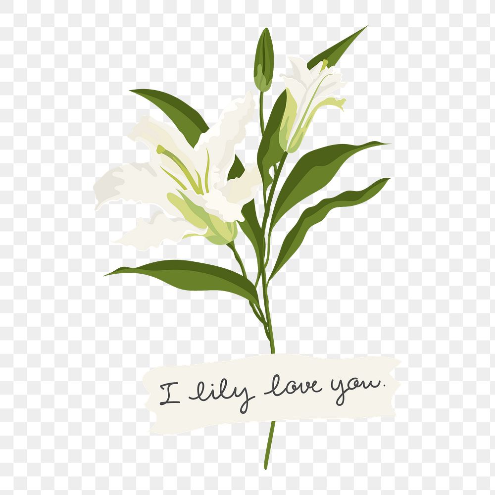 Lily flower png collage element, aesthetic diary sticker on transparent background