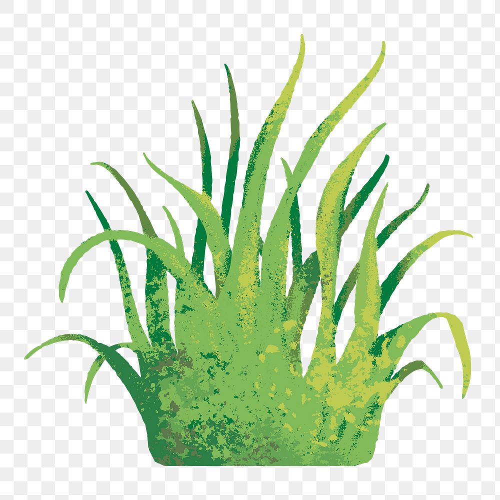 Nature png sticker, minimal grass design, transparent background